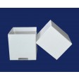 MB3C